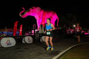 BIB: 
                            <button type="button" onclick="openModal(26534743)" class="btn btn-primary btn-sm float-right btn-popup" data-toggle="modal" data-target=".modal-high-quality">
                        <i class="fas fa-shopping-cart"></i> Add to Cart
                    </button>
                                            <button type="button" onclick="isThisMe(26534743, true)" class="btn btn-success btn-sm float-right btn-popup btn-isme hidden" data-toggle="tooltip" data-placement="bottom" title="นี่คือรูปของคุณใช่ไหม คลิกที่นี่เพื่อเอาเข้าอัลบั้ม">
                        <i class="fas fa-plus"></i> Add to album
                    </button>
                    <button type="button" onclick="isThisMe(26534743, false)" class="btn btn-warning btn-sm float-right btn-popup btn-isnotme hidden">
                        <i class="fas fa-ban"></i> Remove from album
                    </button>